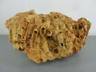 Fossil Colony Sea Rock Specimen Tube Worm Shell Fish Coral Orange Aquarium Decor