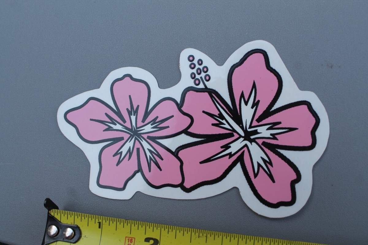 Hawaiian Pink♡ Hibiscus Flowers Pink Paradise Aloha Hawaii Islands V59A