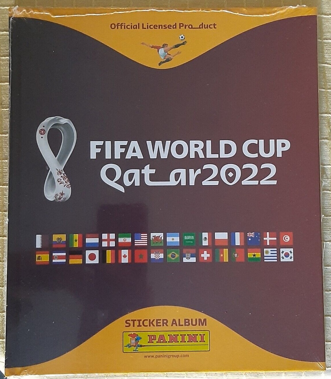 Panini Official FIFA World Cup Qatar 2022 Two Sticker Boxes (500 Stickers  Total)