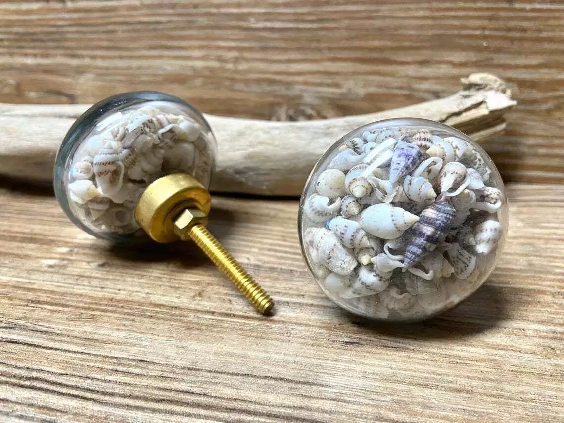 2 Live Seashell Filled Glass Drawer Pulls Knobs Cabinet Handles
