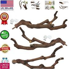 Handmade Bird Stand Pole Set - 3PCS Chewable Grape Vine Perches for Parakeets