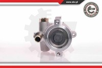 Esen SKV Servopumpe FüR VW Corrado 53I Passat Variant 3A5 35I 19E 1G1 10SKV147