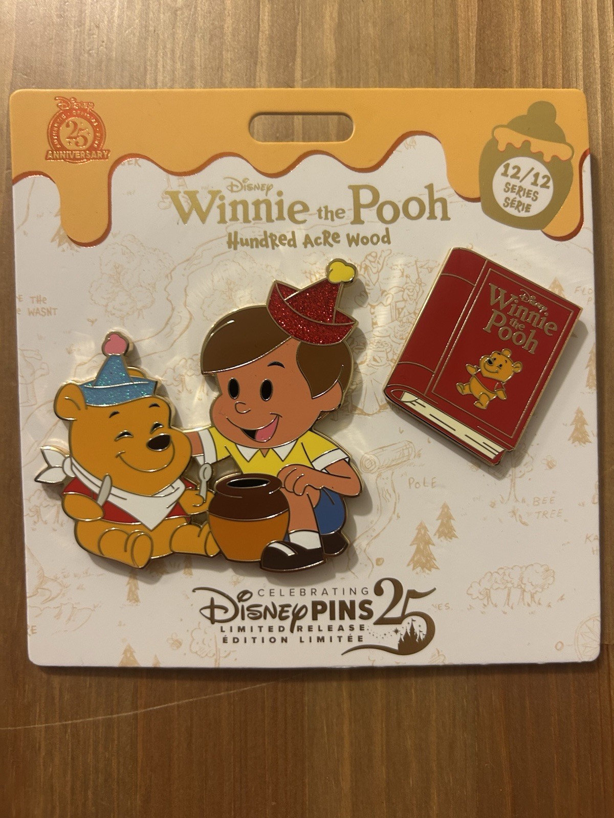 Disney Winnie the Pooh and Christopher Robin Pin Set 12/12 Hundred Acre Wood