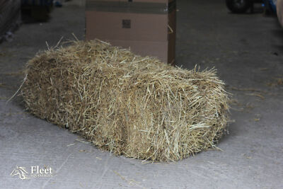 Hay Bale for Horses Approx 20kg 110x50x40cm BOXED FREE Postage  UK