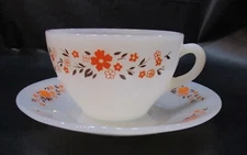 Vintage Termocrisa White Glass Tea Cup Saucer Set Orange Flowers Brown Leaves