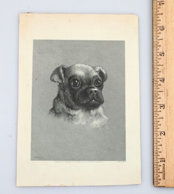 Victorian Trade Card Pug Dog Marcus Waterman Paintings @ Lowells Gallery Boston
