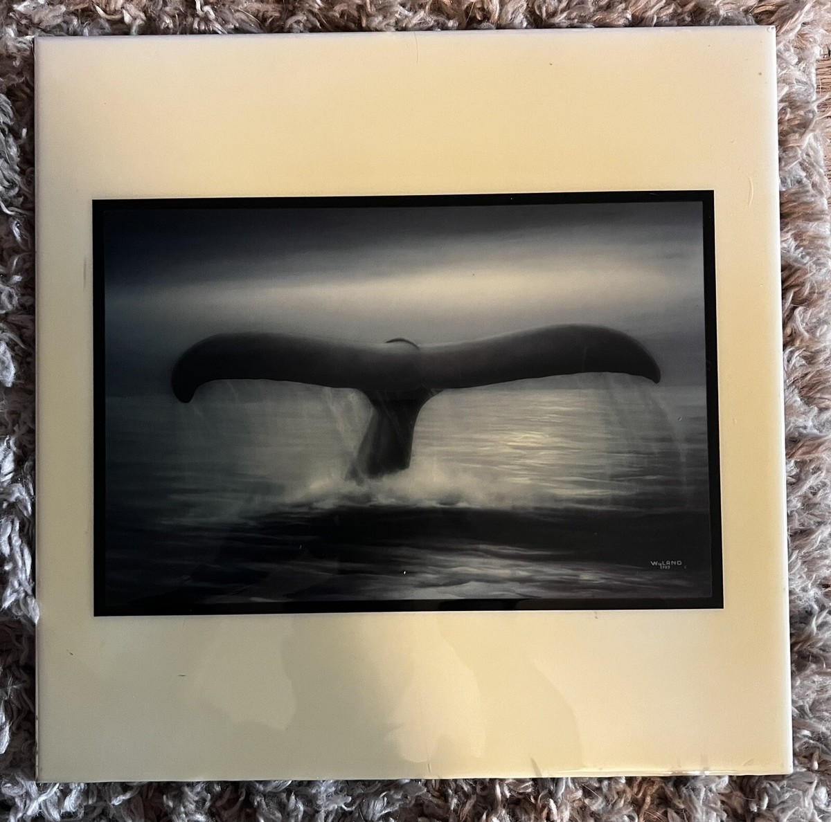 Wyland Tails of Great Whales 12 x 12” ceramic tile. Limited