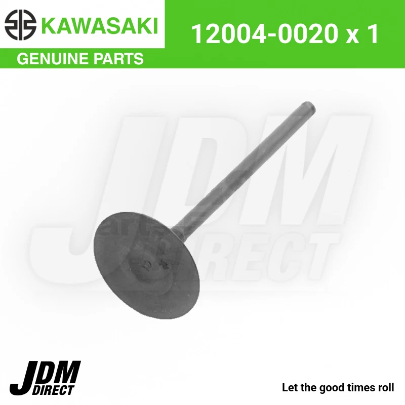 Motorcycle Engine Valves for 2006 Kawasaki Ninja ZX14 for sale | eBay