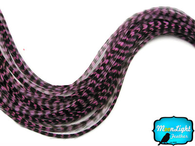 rooster feathers hair feathers australia