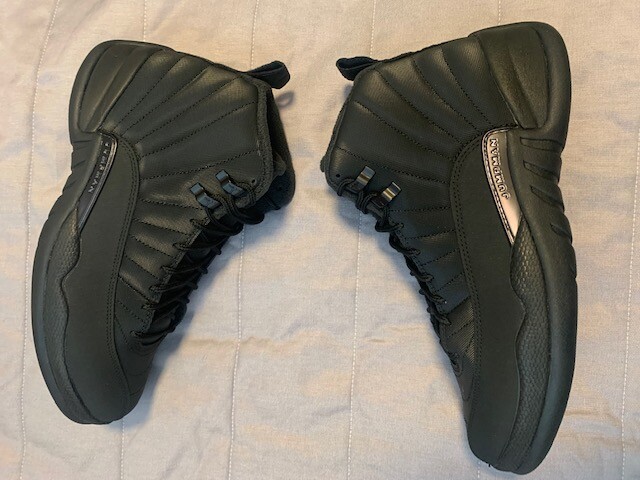 jordan winter 12s