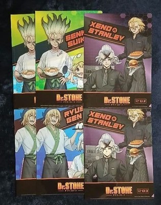 Dr.STONE Character Clear File 3pc ×2 Set (6 pcs)   6panel, Slim, Anime
