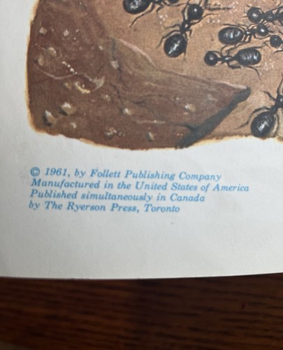 Ants By Charles Schoenknecht 1961 1st Edition HC - Picture 5 of 7