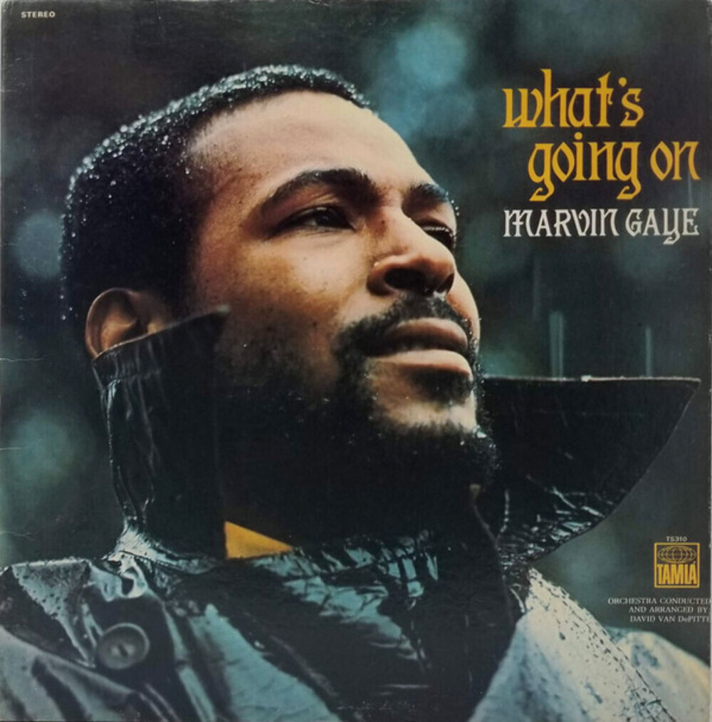 洋楽 MARVIN GAYE /WHAT'S GOING ON TAMLA TS310 Marvin Gaye - What's Going On - Tamla, Tamla - TS310, T 310