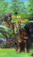 Arte Doberman Pinscher impreso en una sola placa de interruptor de luz de palanca, hecho en EE. UU.