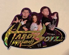 2002 WWF HARDY BOYZ Vending Sticker Prismatic Matt Jeff Hardy Lita