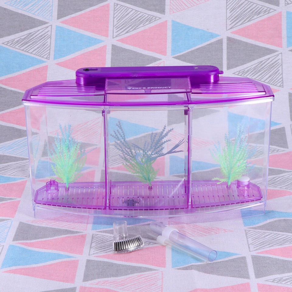 Dual Betta Fish Tank Small Tanks Mermaid Goldfish People's Office eBay