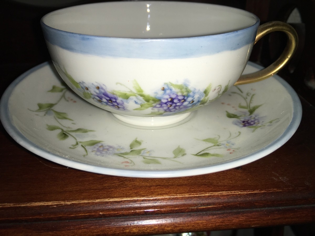 Blue floral Bavaria Hutschenreuther Hand Painted bone china Cup & Saucer Germany