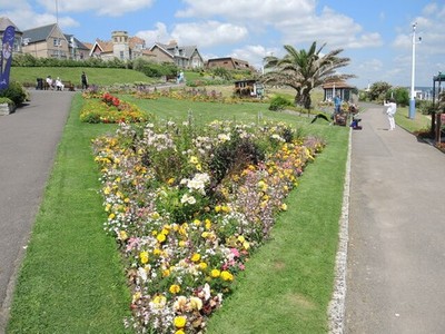 Foto A3 Greenhill Glory Weymouth\/SY6779 Immer eine spektakuläre Blume di c2021
