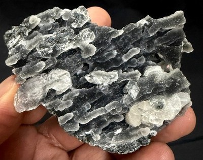 Chalcedony black coral formation # 700