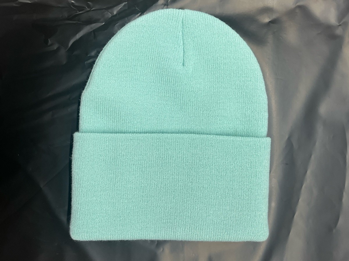 BNWOT WOMENS CARHARTT *RARE* TURQUOISE BEANIE Carhartt Adult unisex Blue Glow Acrylic Knit hat at Lowes.com main image 4