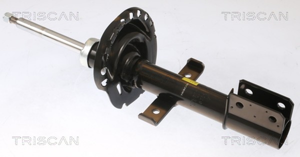 2X Triscan StoßDäMpfer 8705 25107 FüR Renault Clio 3 BR0 CR0 KR0 Modus BR01 BR03-image