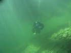 diver1906