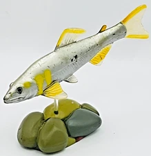 Sweetfish Ayu Nature's Japan River Life Fresh Water Fish Real Figure Colorata