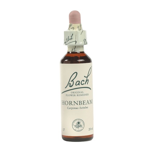 BACH FLOWER REMEDY 10ML // ALL 38 AVAILABLE // ORIGINAL FORMULAS + FREE SHIPPING - Picture 19 of 40