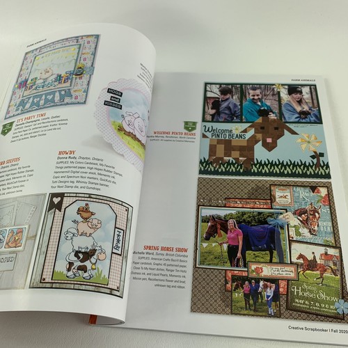 Creative Scrapbooker Fall 2020 Cards & Techniques Magazine - Picture 8 of 11