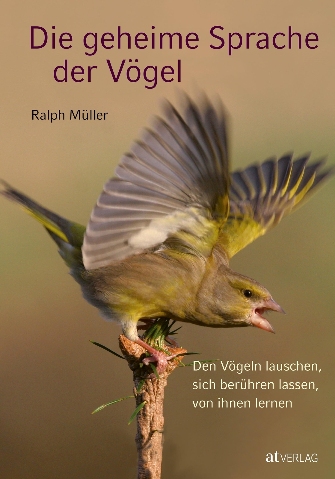 Thumbnail - Die Geheime Sprache Der Vögel | Ralph Müller | Buch | 253 S. | Deutsch