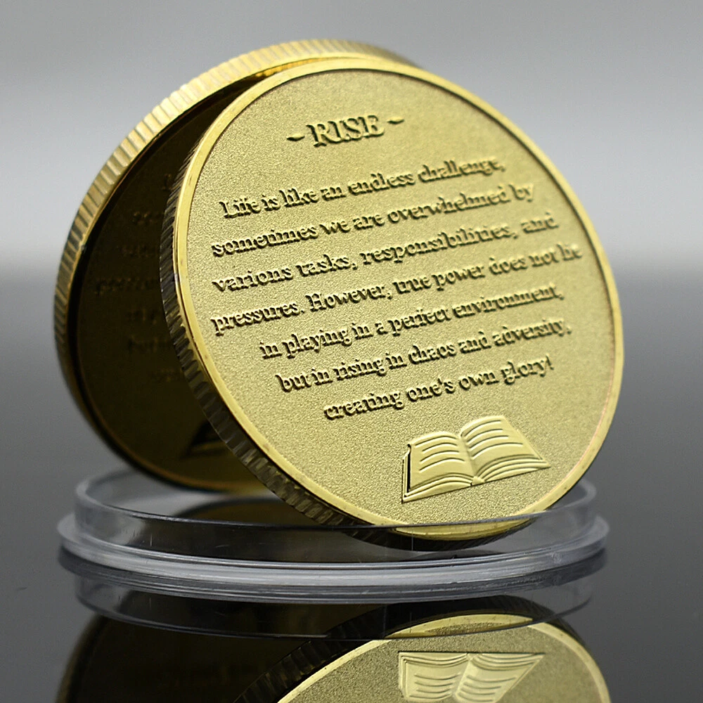 Rise in Chaos and Adversity Challenge Coin Everything's Fine Gold Plated Medal - Picture 5 of 12