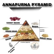 Natural Annapurna Pyramid 70 mm Orgone Gomti Chakra Shree Yantra Pyramid