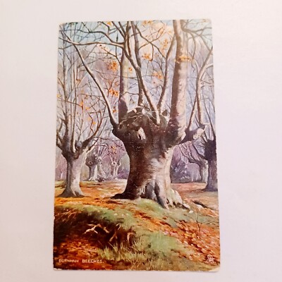 Postcard: Burnham Beeches - Old Tree Crafts Junk Journal 