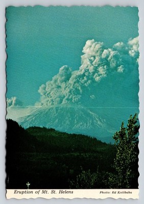 Mt. St. Helens Volcano Eruption 1980 Postcard Ed Kolibaba Photo