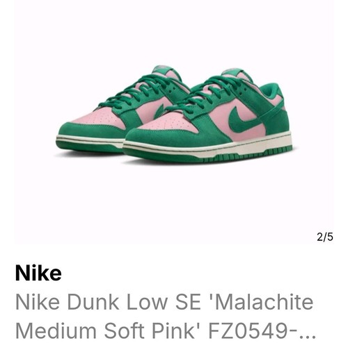 Nike Dunk SE Low The Masters Back 9 Collection FZ0549-600 TALLA - 10,5 - Imagen 7 de 10