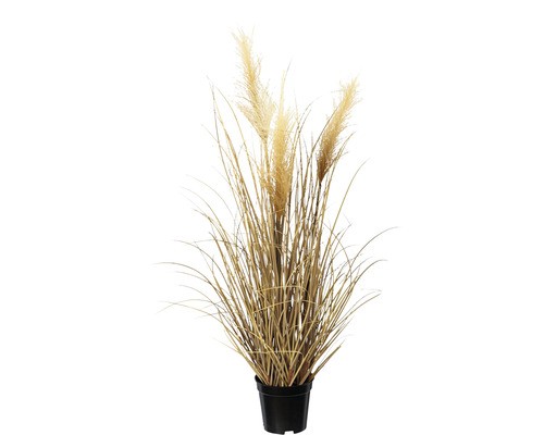 Kunstpflanze Pampasgras HöHe: 76 Cm GrüN-image