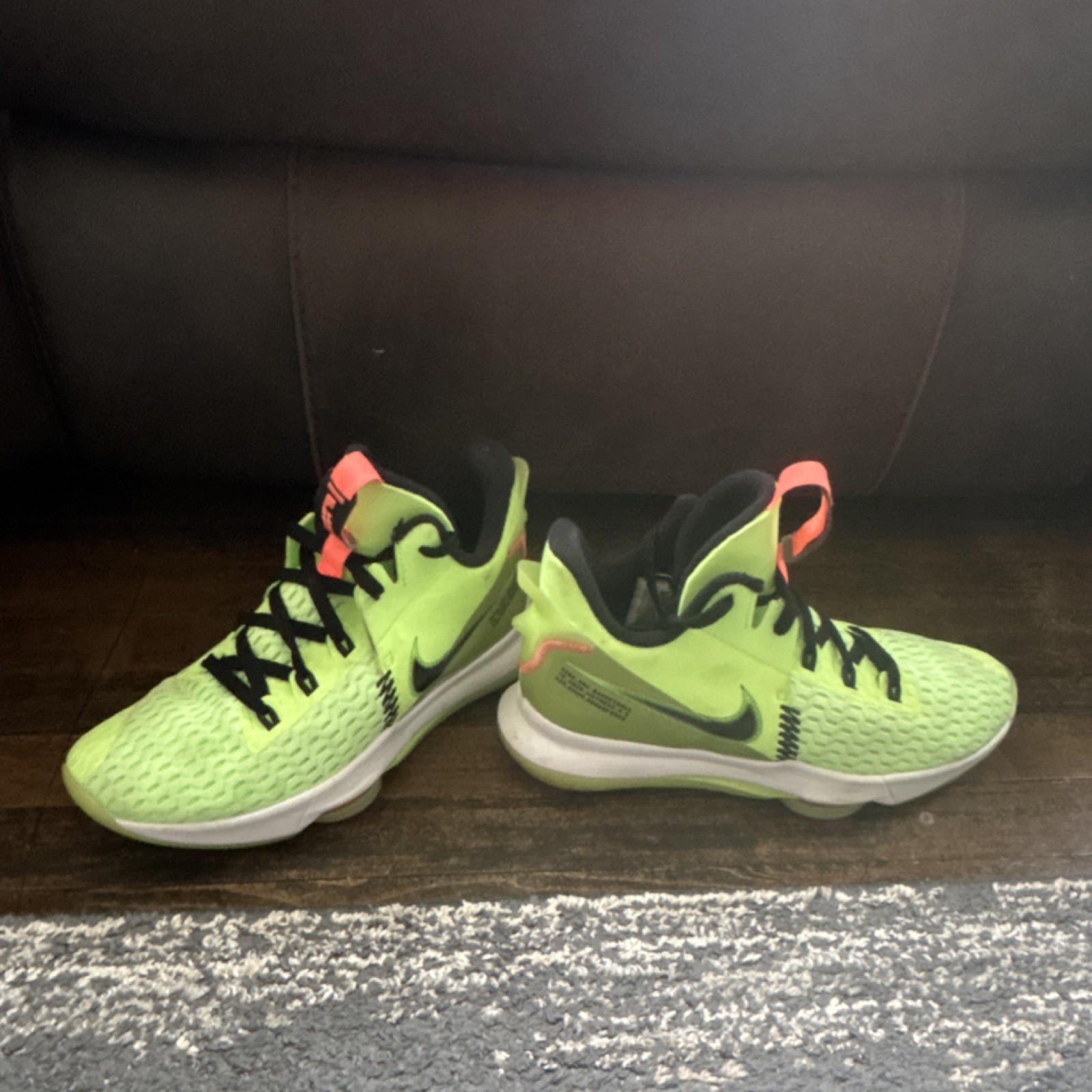 LeBron Witness 5 grinches