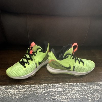 LeBron Witness 5 grinches 