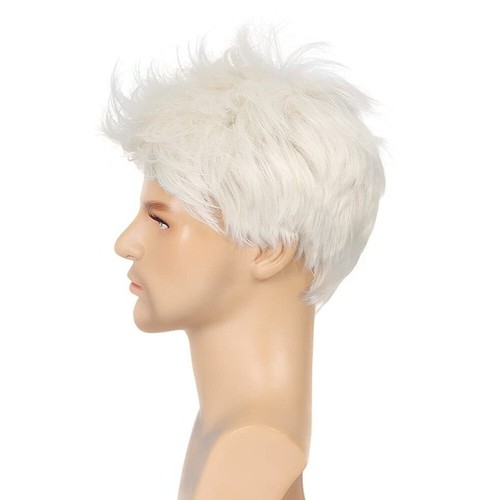 Mens Wig Short Natural Straight Curly White Hair Male Cosplay Party Wigs Fashion - Picture 6 of 9