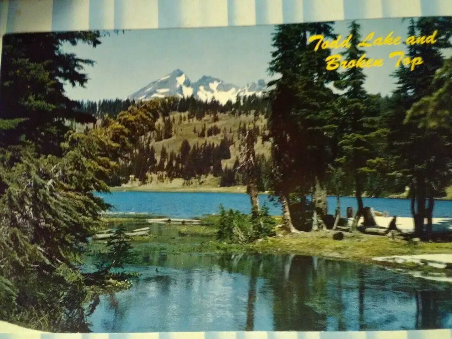 Picture 12 of 12