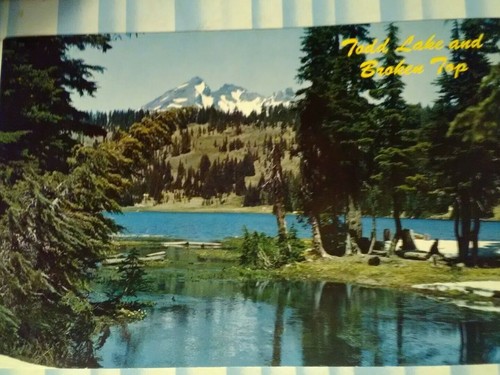 VINTAGE POST CARD TODD LAKE & BROKEN TOP CASCADE RANGE OREGON - Picture 12 of 12