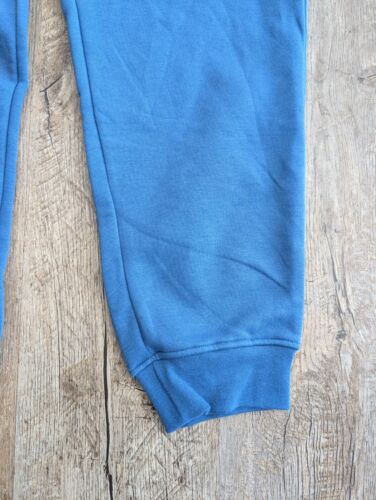 Nike Jordan True Blue Essential Fleece Jogger (DQ7340-485) Men's Large L - NWT - Picture 2 of 16