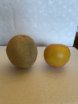 Set 2 Realistic Plaster/Ceramic Fruits - CANTALOUPE & ORANGE