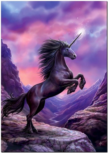 beautiful black unicorn rearing horse canvas print poster 12x16"