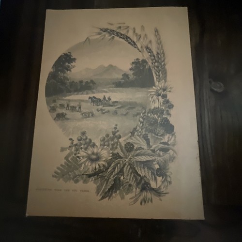 Australia The First Hundred Years - Illustrated - Picture 2 of 3
