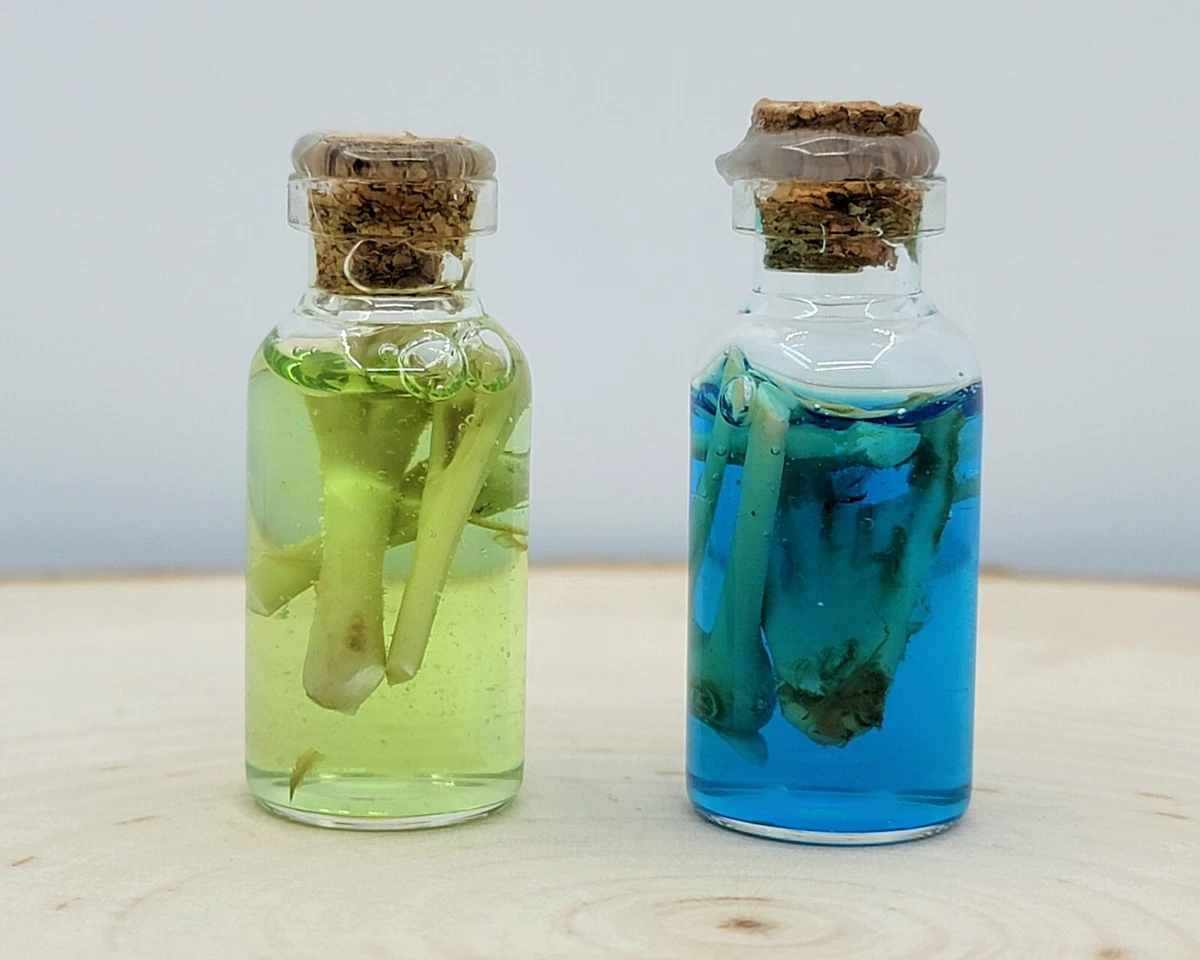 Miniature Dollhouse Potion Bottle Scientist Bones In Liquid ...