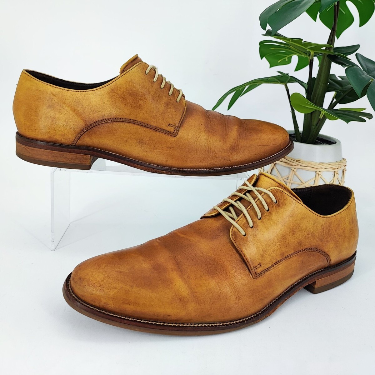 Cole Haan Men display picture 2