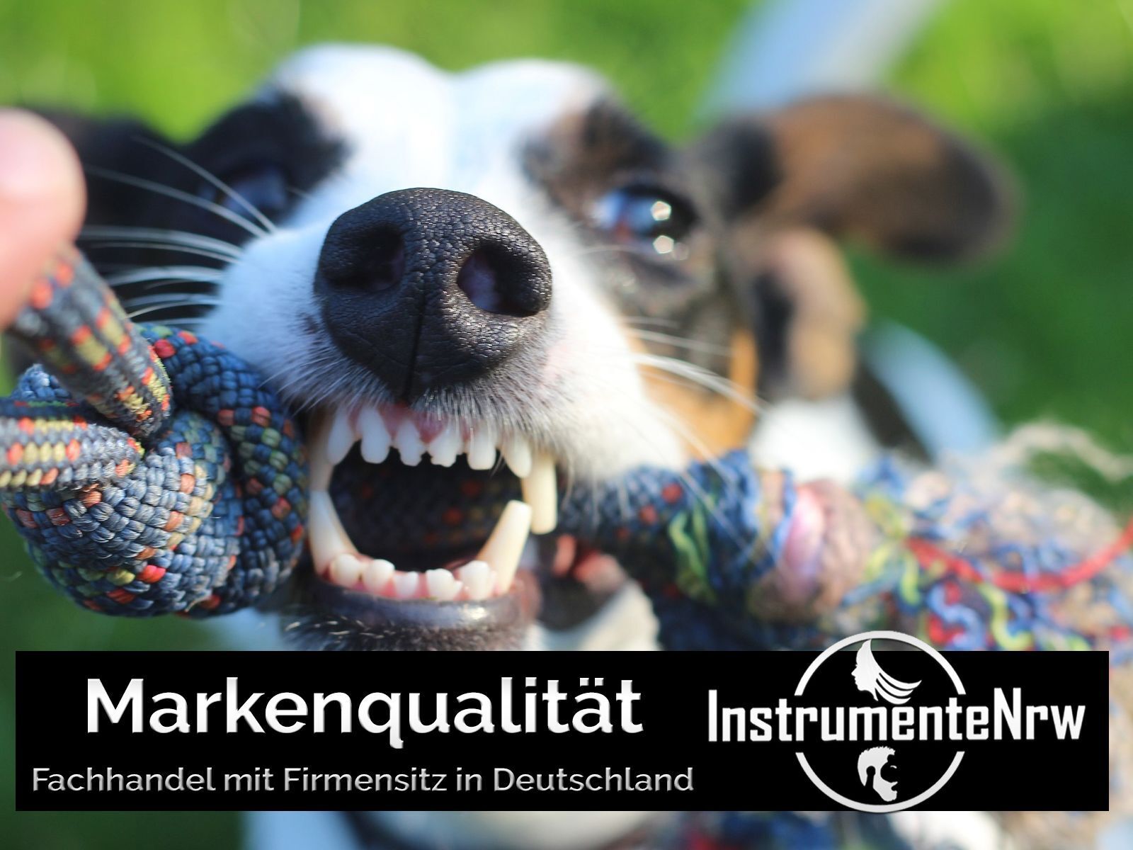 Bild 9 von 9
