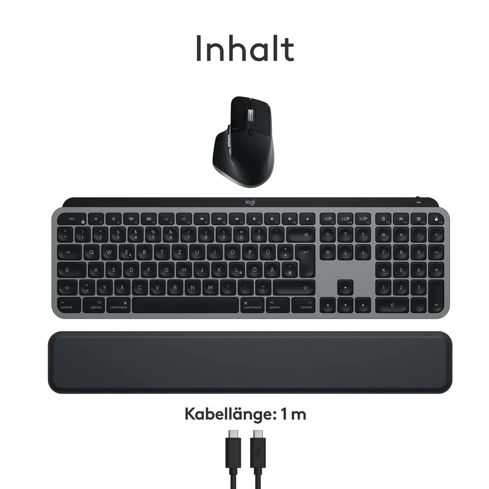 Logitech MX Keys S Combo für Mac inkl. MX Master 3S & MX Palm Rest Maus Tastatur - Bild 2 von 4