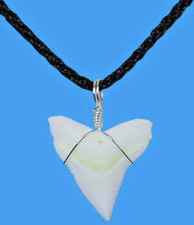 BULL SHARK NECKLACE TOOTH FOSSIL PENDANT NICE LARGE TRINKET BONE FOSSIL RELIC